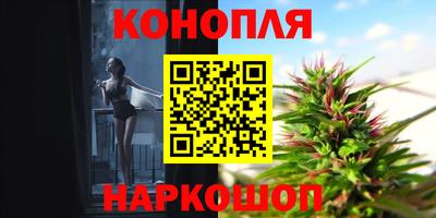 прущие грибы Камень-на-Оби