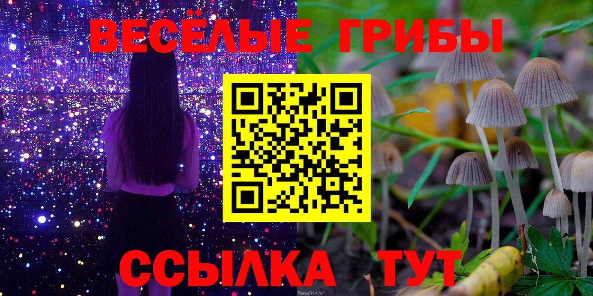Галлюциногенные грибы Cubensis  Вход с VPN  даркнет сайт  Псилоцибиновые грибы мицелий  Анапа 