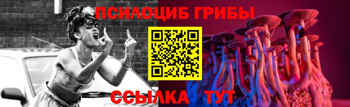 Псилоцибиновые грибы мицелий Анапа